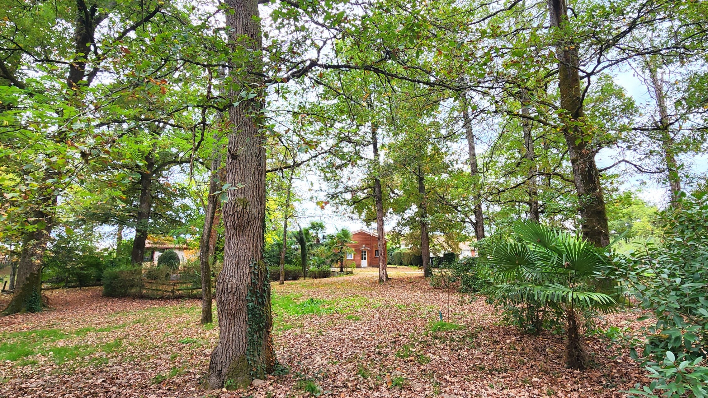 maison 11 pièces en vente sur ECHOURGNAC (24410)