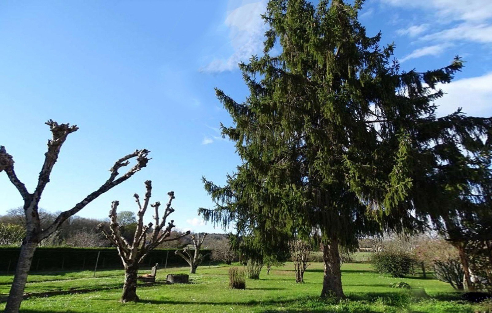 Vente Maison 7&nbsp;Pièces 154&nbsp;m² Neuvic
