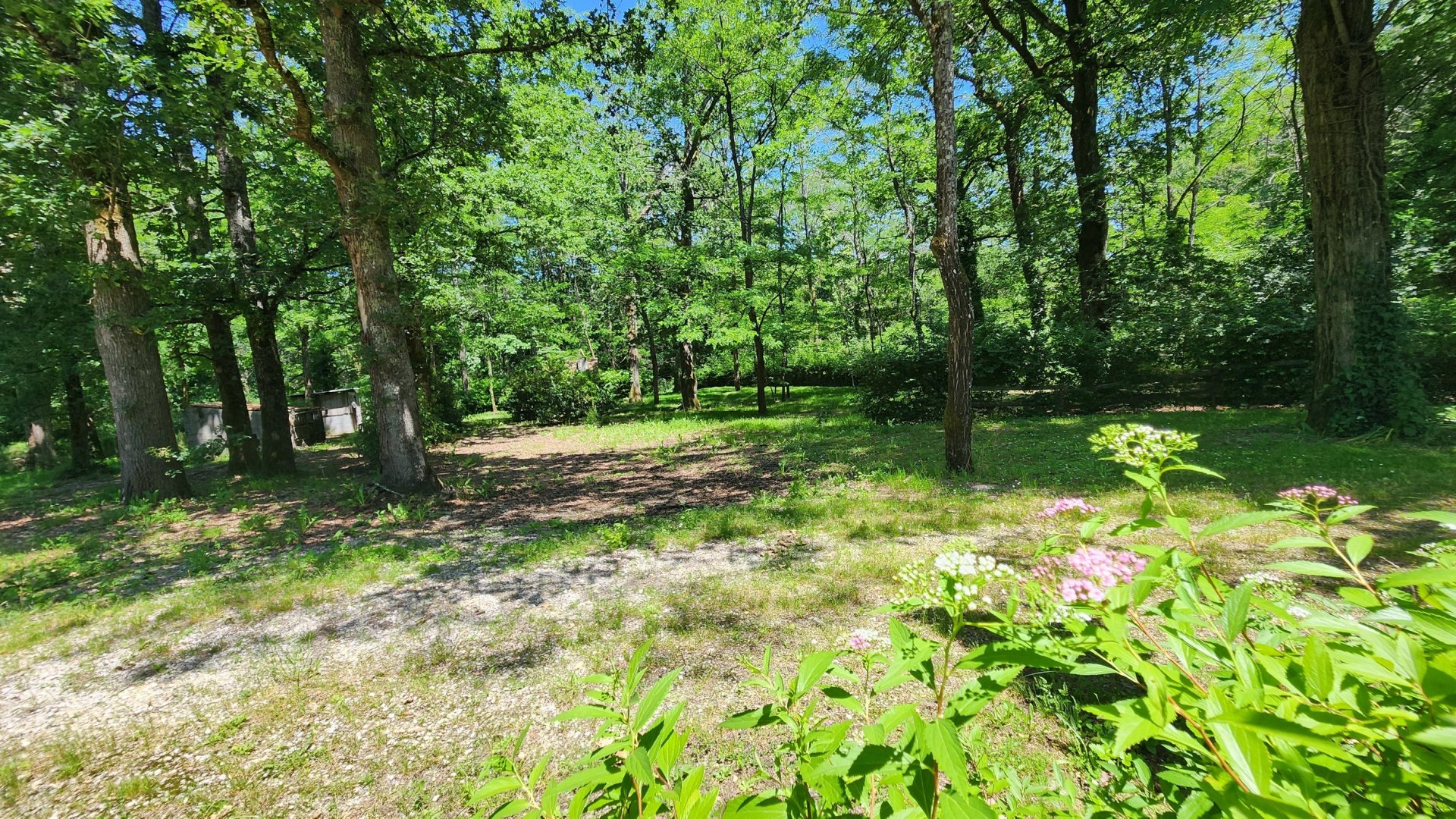 Vente Maison 11&nbsp;Pièces 265&nbsp;m² Échourgnac