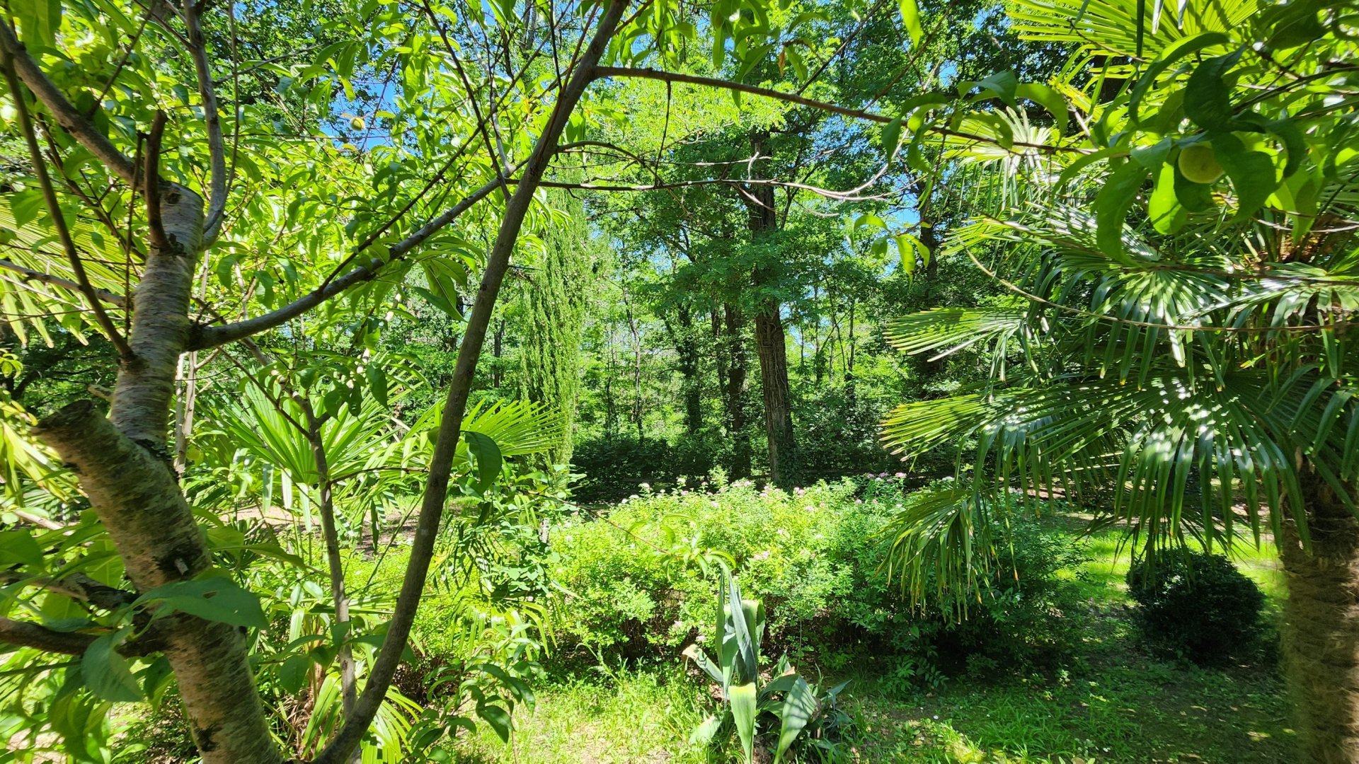 Vente Maison 11&nbsp;Pièces 265&nbsp;m² Échourgnac