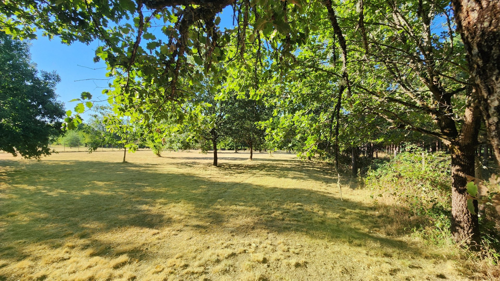 Vente Maison 7&nbsp;Pièces 200&nbsp;m² Moulin-Neuf