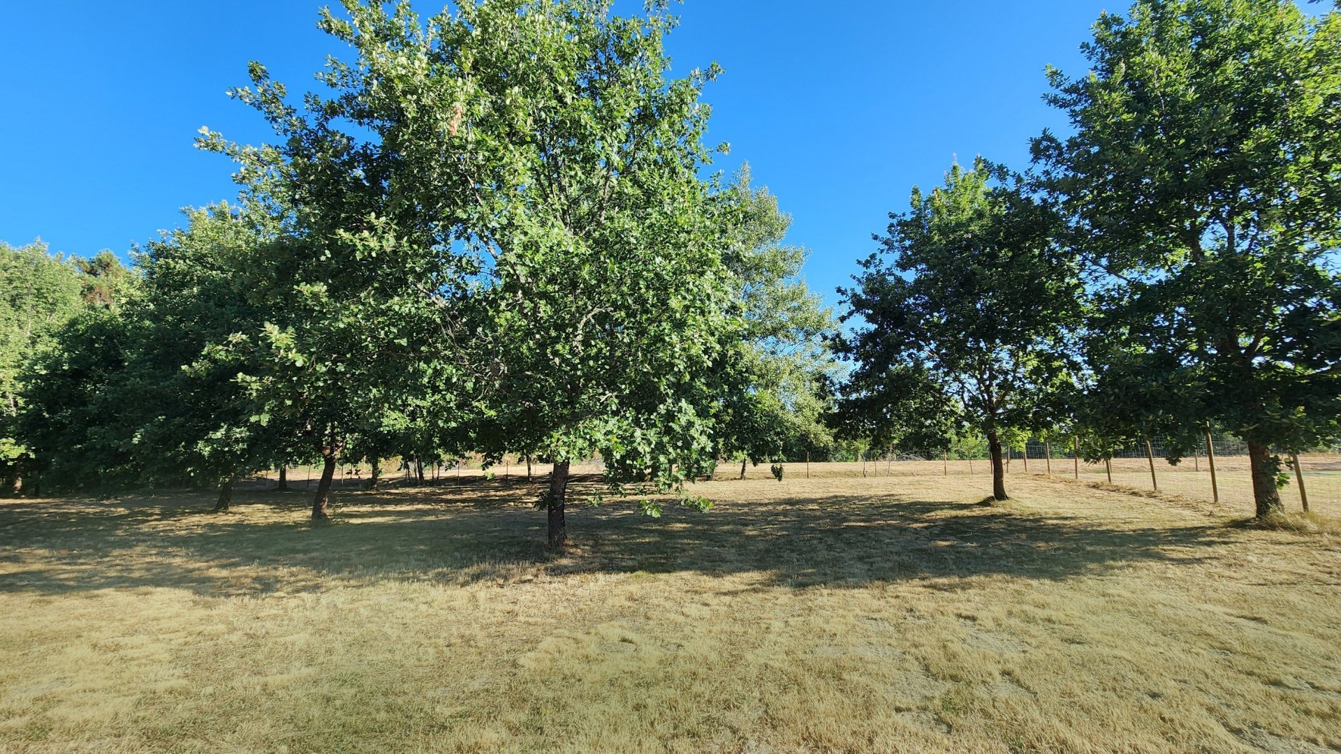 Vente Maison 7&nbsp;Pièces 200&nbsp;m² Moulin-Neuf