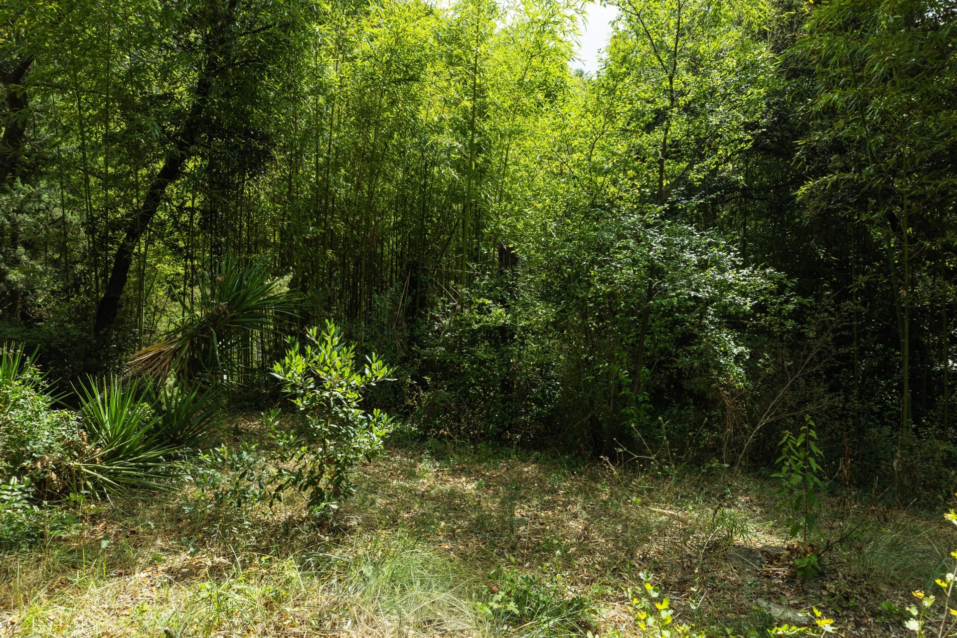 Vente Maison 5&nbsp;Pièces 130&nbsp;m² Saumane-de-Vaucluse