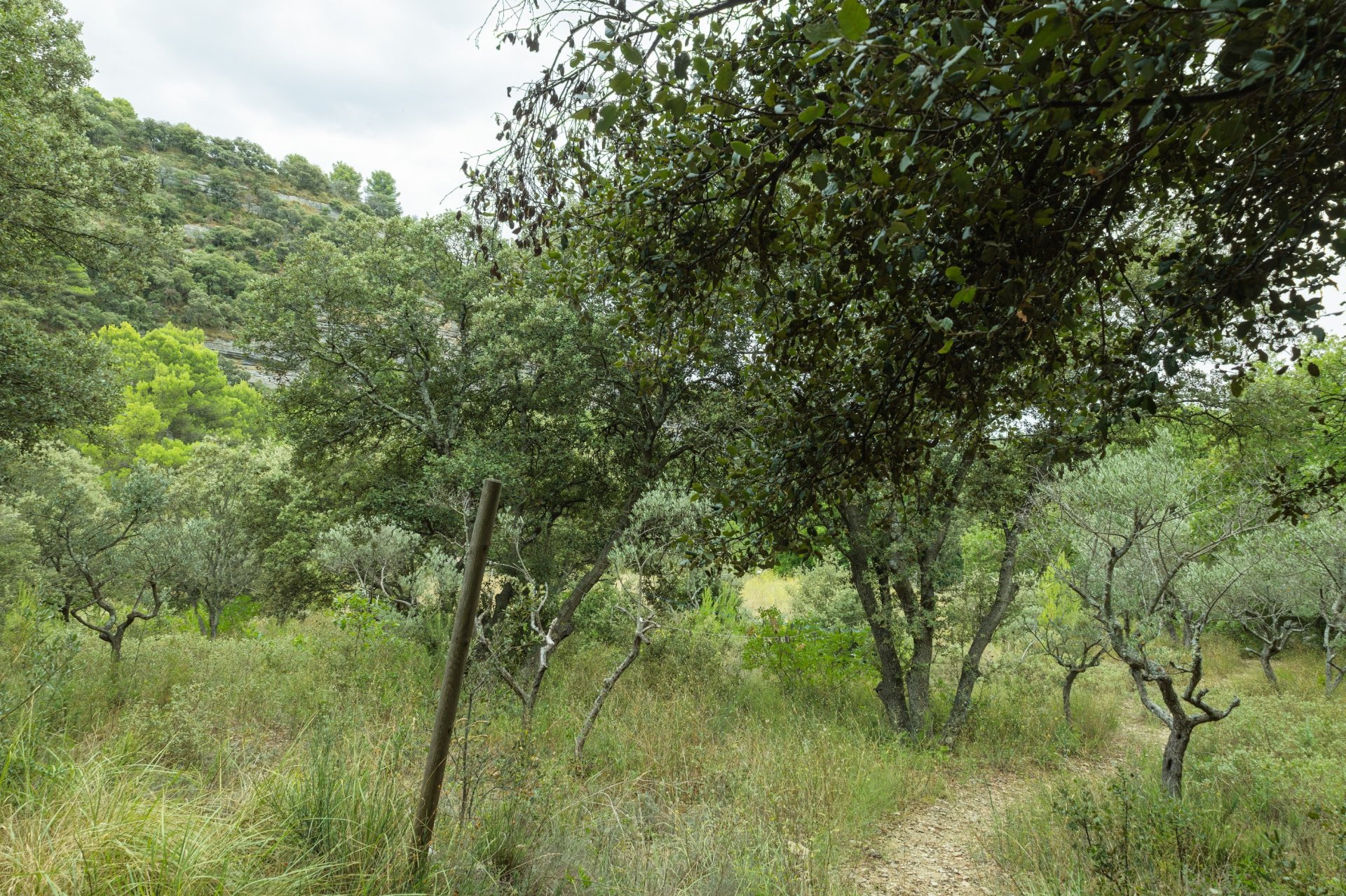 Vente Maison 5&nbsp;Pièces 130&nbsp;m² Saumane-de-Vaucluse